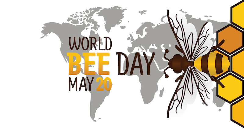 World Bee Day