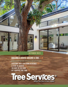 Tree Services, Storm Resilience